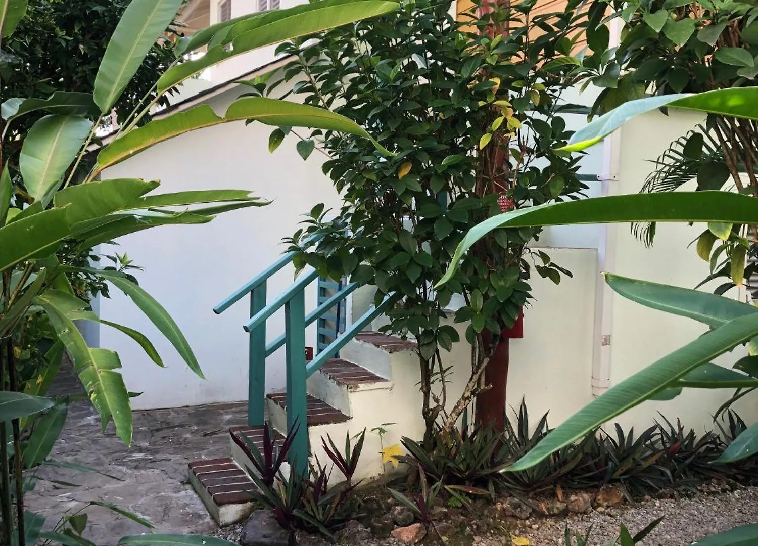 Hotel Casa Robinson Las Terrenas Dominican Republic